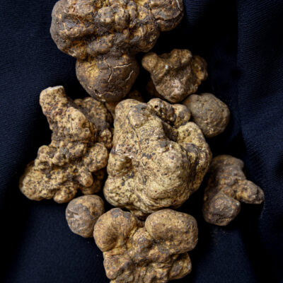 Tartufo Bianco Pregiato