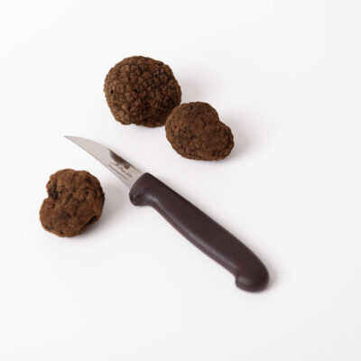 Coltellino pulizia tartufi