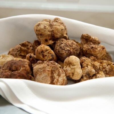 Tartufo bianchetto