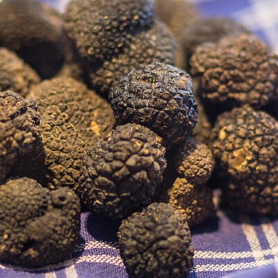 Tartufo uncinato
